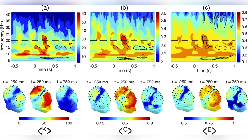 Complex networks: new trends for the analysis of brain connectivity