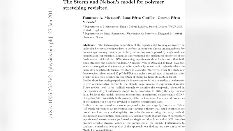 The Storm and Nelsons model for polymer stretching revisited