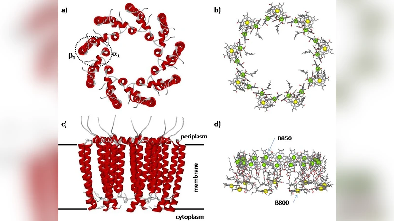 A quantum mechanical analysis of the light-harvesting complex 2 from   purple photosynthetic bacteria. Insights into the electrostatic effects of   transmembrane helices