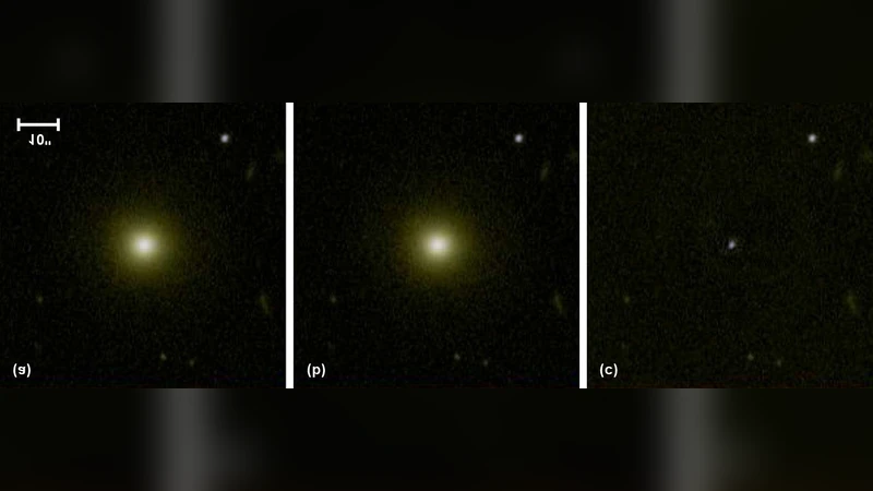 Do Moderate-Luminosity Active Galactic Nuclei Suppress Star Formation?