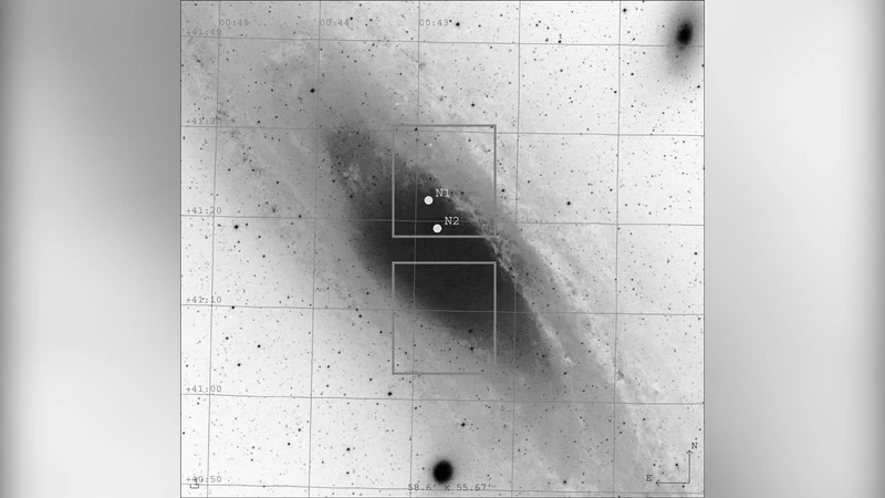 Candidate microlensing events from M31 observations with the Loiano   telescope