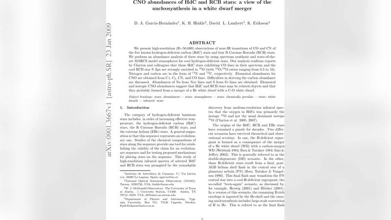 CNO abundances of HdC and RCB stars: a view of the nucleosynthesis in a   white dwarf merger