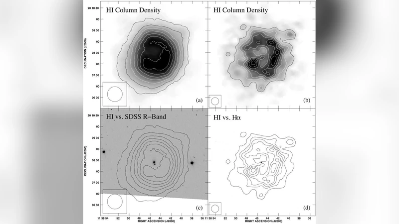 Quiescent Isolation: The Extremely Extended HI Halo of the Optically   Compact Dwarf Galaxy ADBS 113845+2008