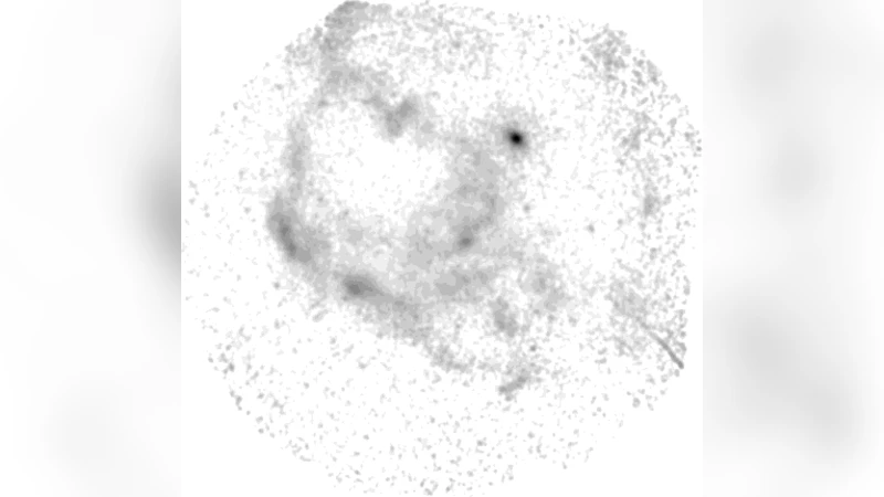 X-ray emission from HESS J1731-347/SNR G353.6-0.7 and Central Compact   Source XMMS J173203-344518