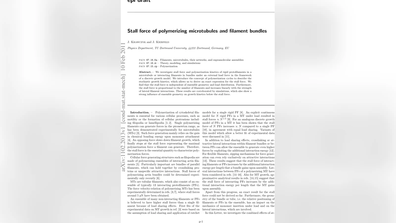 Stall force of polymerizing microtubules and filament bundles