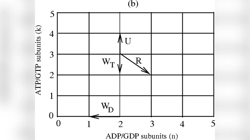 Non-equilibrium self-assembly of a filament coupled to ATP/GTP   hydrolysis