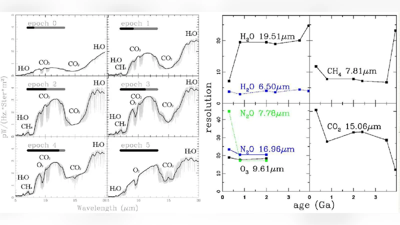 Biomarkers set in context