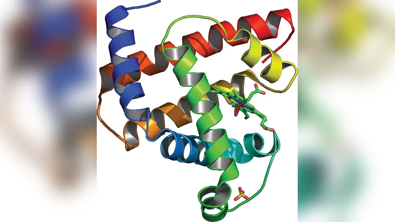 Semi-Markov models of mRNA-translation