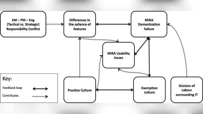 Expectations and Reality: Why an enterprise software system didnt work   as planned