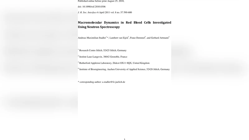 Macromolecular Dynamics in Red Blood Cells Investigated Using Neutron   Spectroscopy