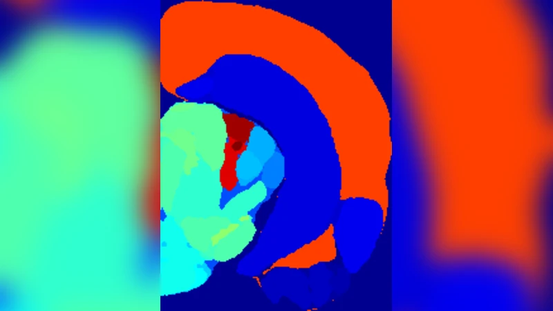 Algorithmic choice of coordinates for injections into the brain:   encoding a neuroanatomical atlas on a grid