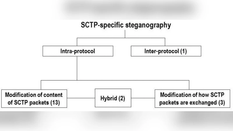 Hiding Information in a Stream Control Transmission Protocol