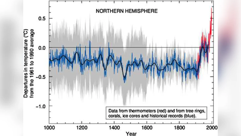 A statistical analysis of multiple temperature proxies: Are   reconstructions of surface temperatures over the last 1000 years reliable?