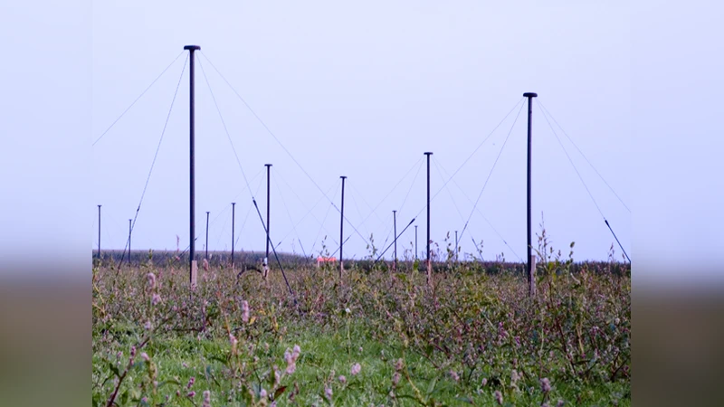 The LOFAR Beam Former: Implementation and Performance Analysis