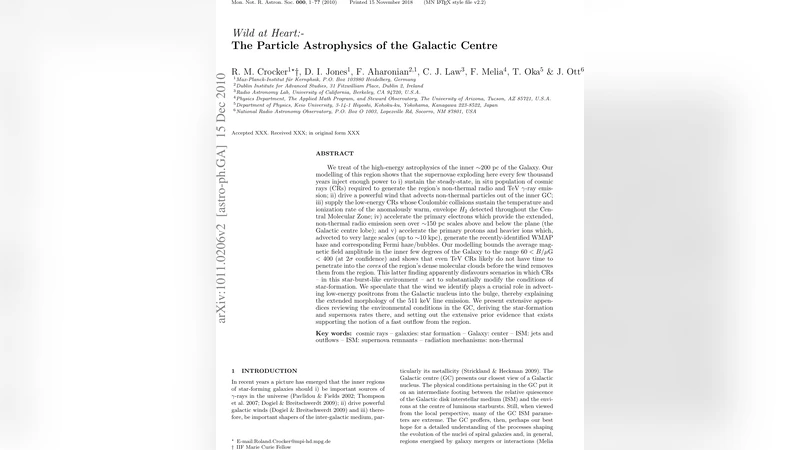 Wild at Heart:-The Particle Astrophysics of the Galactic Centre