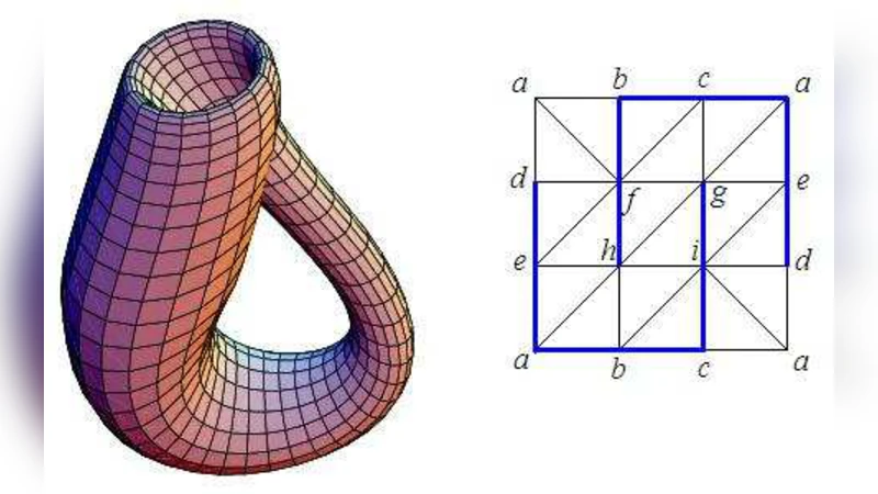 Chain Homotopies for Object Topological Representations