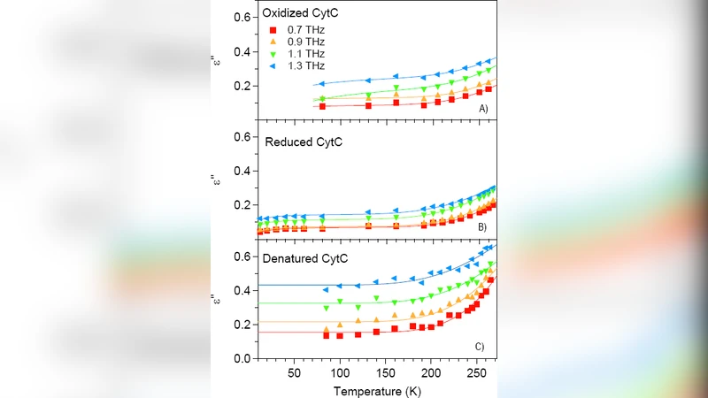 Functional State Dependence of Picosecond Protein Dynamics