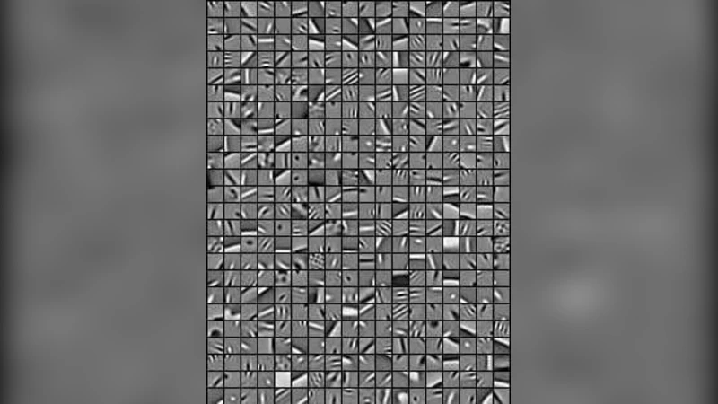 Adaptive compressed sensing - a new class of self-organizing coding   models for neuroscience