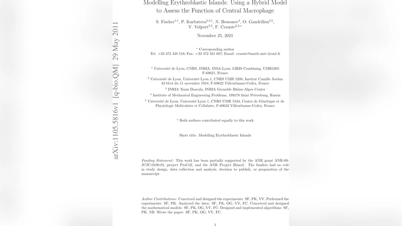 Modelling Erythroblastic Islands: Using a Hybrid Model to Assess the   Function of Central Macrophage