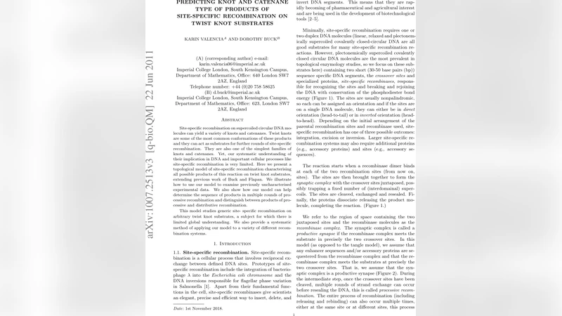 Predicting Knot and Catenane Type of Products of Site-specific   Recombination on Twist Knot Substrates