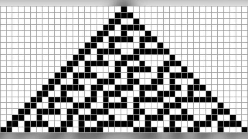 Empirical Encounters with Computational Irreducibility and   Unpredictability