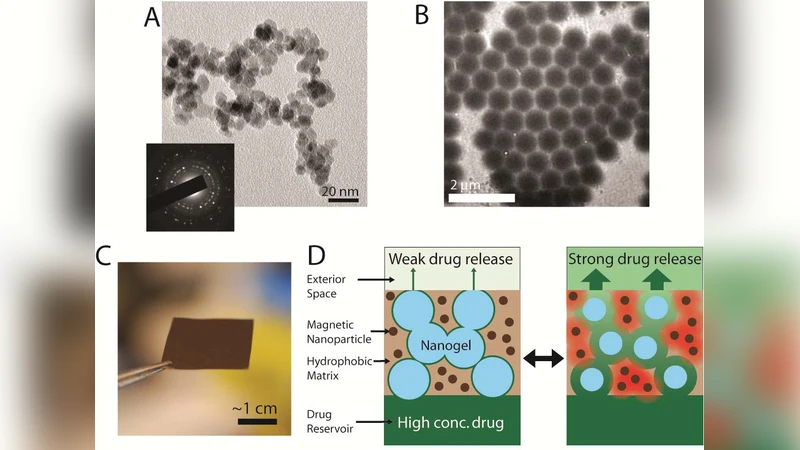 Magnetically-triggered Nanocomposite Membranes: a Versatile Platform for   Triggered Drug Release