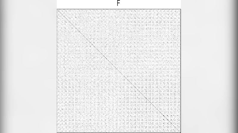 A random walk on image patches