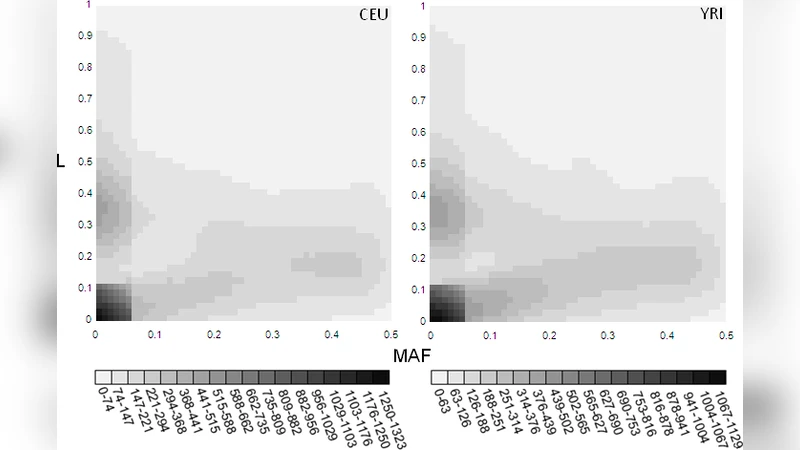 Population Fitness and Genetic Load of Single Nucleotide Polymorphisms   Affecting mRNA splicing