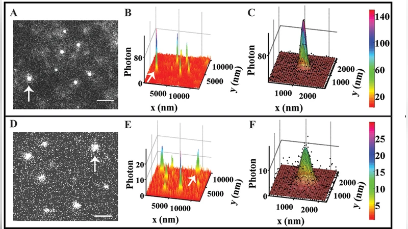 Single-image diffusion coefficient measurements of proteins in free   solution