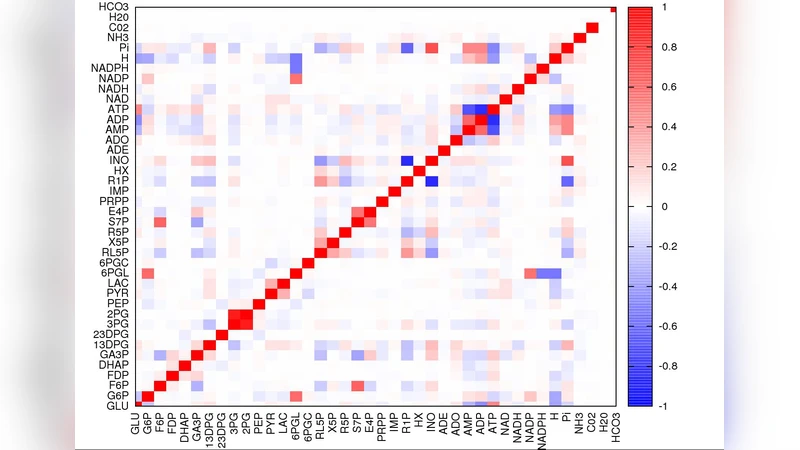 Computing fluxes and chemical potential distributions in biochemical   networks: energy balance analysis of the human red blood cell