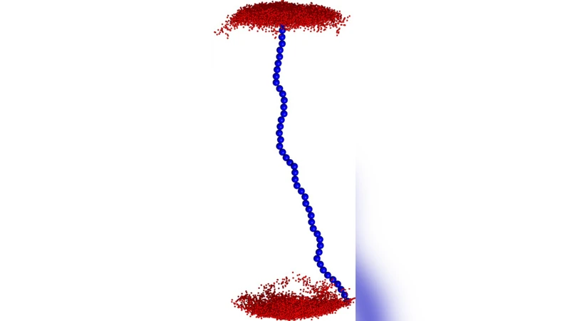 Anisotropic Hydrodynamic Mean-Field Theory for Semiflexible Polymers   under Tension