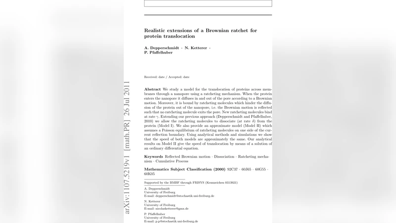 Realistic extensions of a Brownian ratchet for protein translocation