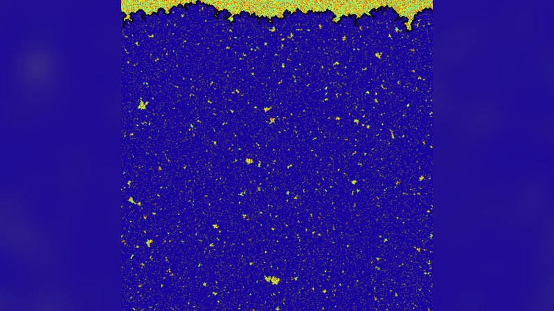 Fractality of eroded coastlines of correlated landscapes