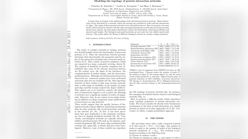 Modeling the topology of protein interaction networks