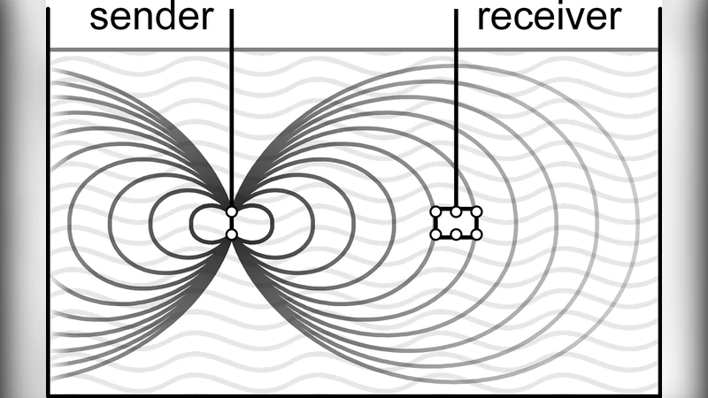 Multi-Modal Local Sensing and Communication for Collective Underwater   Systems