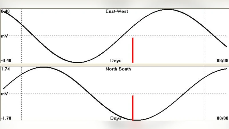 The Earths oscillating electric field (T = 1 day) in relation to the   occurrence time of large EQs (Ms>5.0R). A postulated theoretical physical   working model and its statistical validation