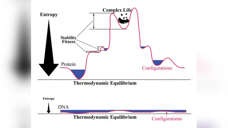 Molecular Labor Division: Its Cause and Consequence