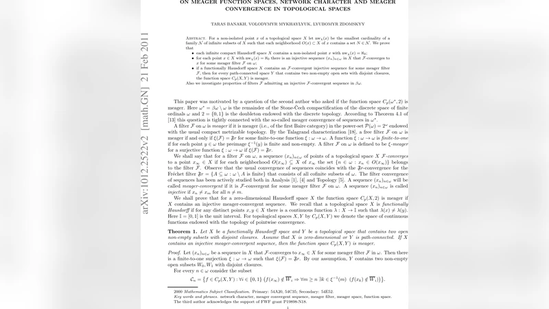 On meager function spaces, network character and meager convergence in   topological spaces
