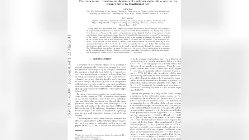 The chain sucker: translocation dynamics of a polymer chain into a long   narrow channel driven by longitudinal flow