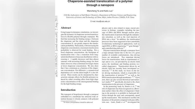 Chaperone-assisted translocation of a polymer through a nanopore