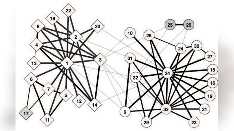 Active Learning for Node Classification in Assortative and   Disassortative Networks