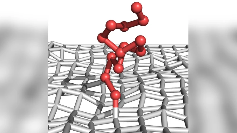 Thermodynamics of polymer adsorption to a flexible membrane
