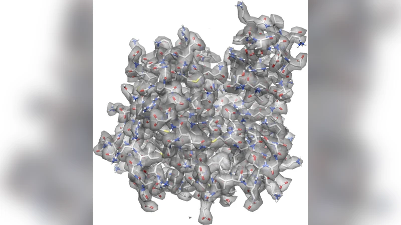 The Symmetries of Image Formation by Scattering. I. Theoretical   Framework