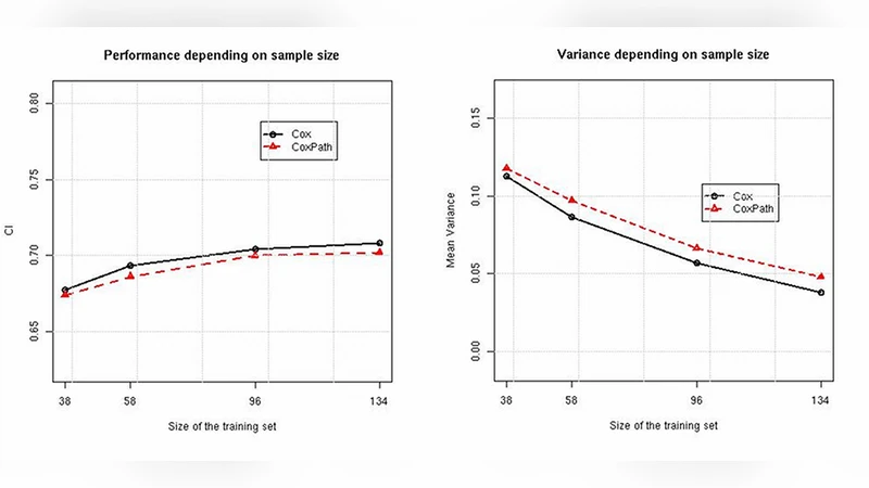Bias Plus Variance Decomposition for Survival Analysis Problems