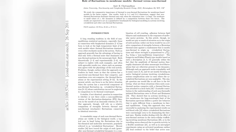 Role of fluctuations in membrane models: thermal versus non-thermal