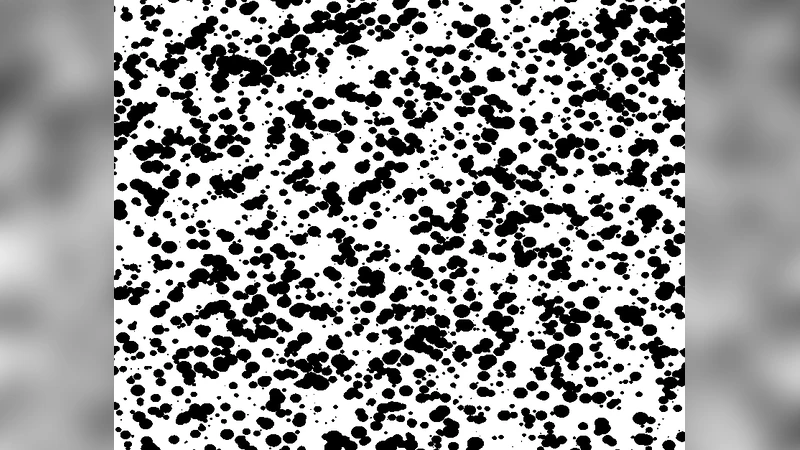 Statistical aspects of birth--and--growth stochastic processes