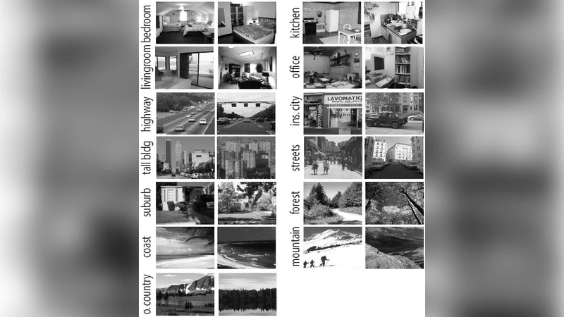 NESVM: a Fast Gradient Method for Support Vector Machines