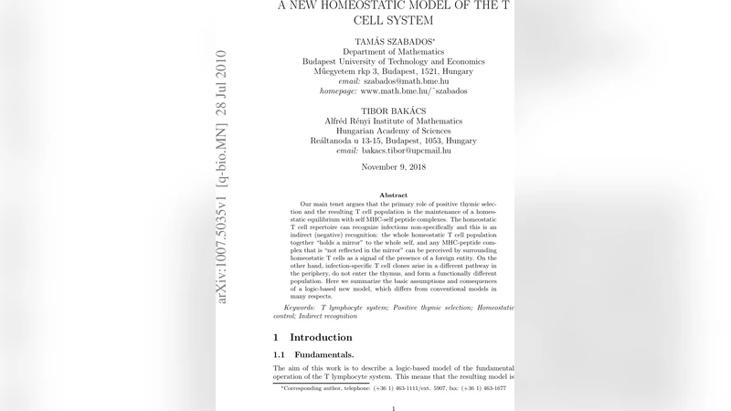 A new homeostatic model of the T cell system