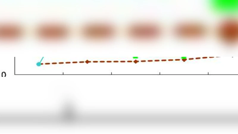 Optimal Joint Multiple Resource Allocation Method for Cloud Computing   Environments