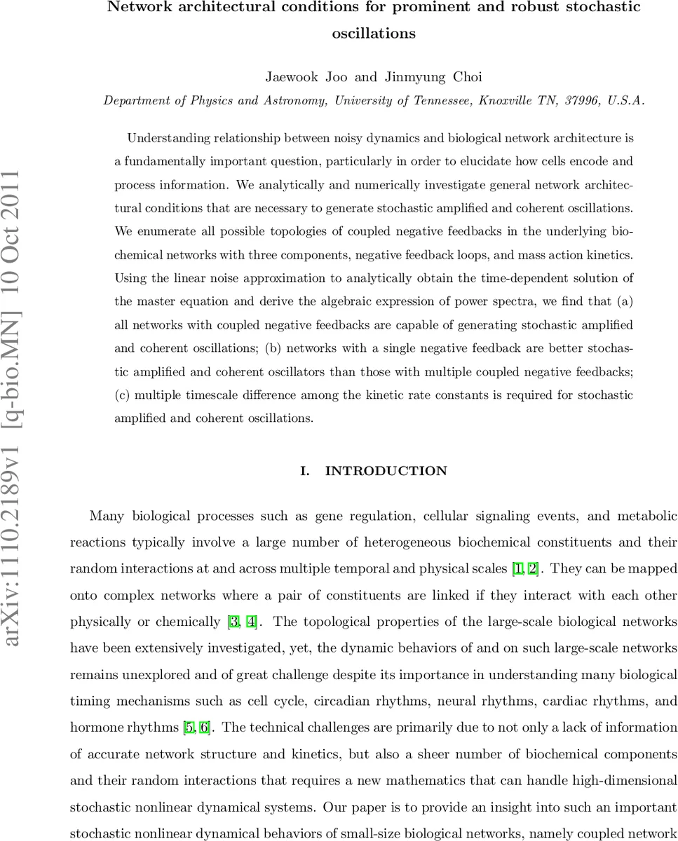 Network architectural conditions for prominent and robust stochastic   oscillations